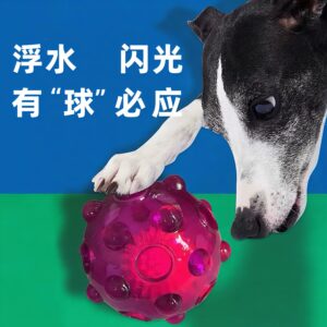 Трансграничный : Звуковая и светящаяся игрушка для