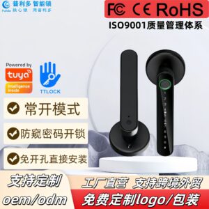 TTLOCK Imported Fingerprint Bluetooth Graffiti Lever Handle Lock for Wooden Door One-Push Open Electronic Anti-Theft Lock