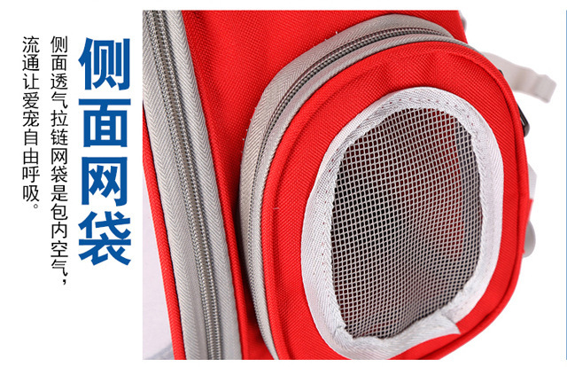 прозрачная сумка для кошек в стиле космической